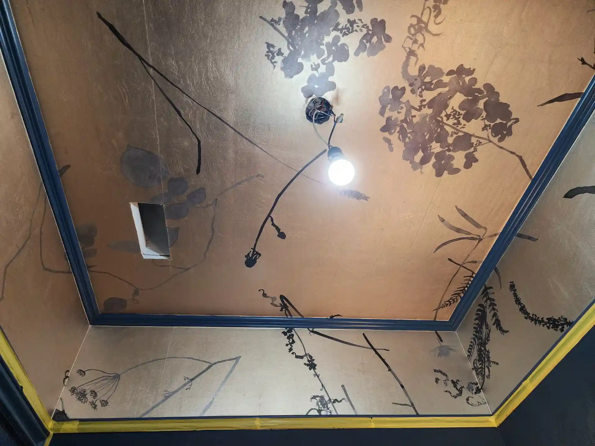 Wallpaper installation project in Albany, NY